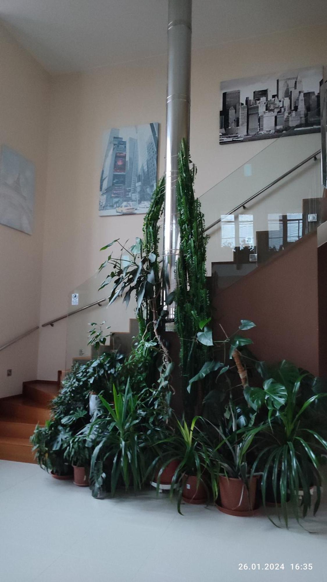 Villa Homestay Nad Helmrovkou Prague Extérieur photo