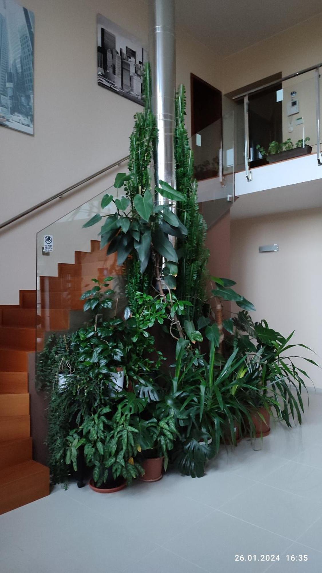 Villa Homestay Nad Helmrovkou Prague Extérieur photo